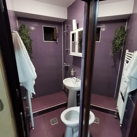 Green Studio Apartment Brasov