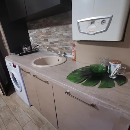 Green Studio Apartment *